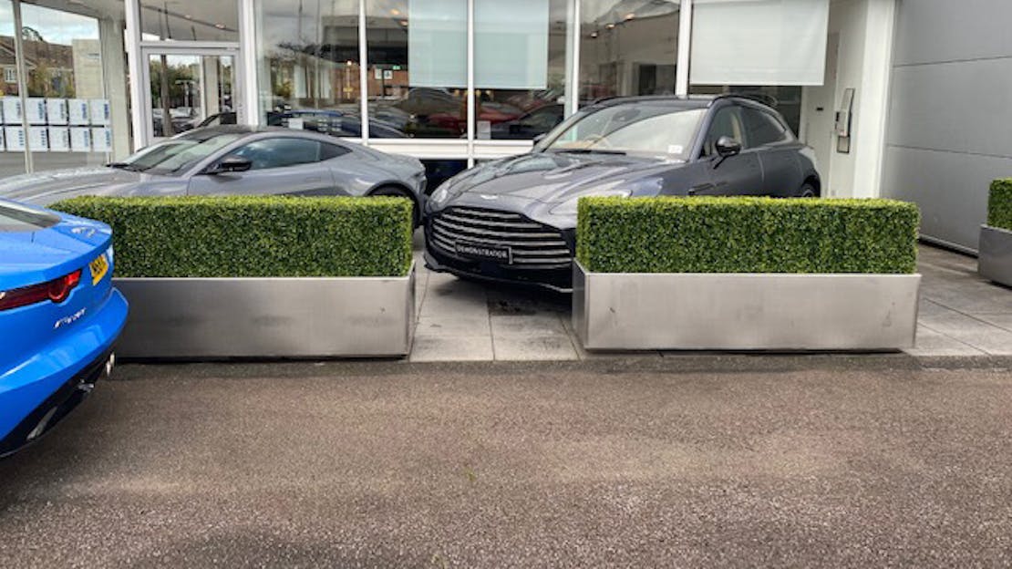 Elevating Brand Aesthetics with The Boxwood Topiary hedge Tiles