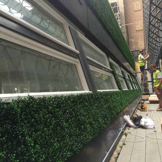 Boxwood dark faux hedge