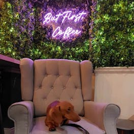 Amazon coffee bar feature wall