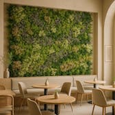 Artificial Green Wall Panels