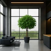 Shop Artificial Trees