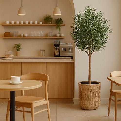 Natural Olive Tree