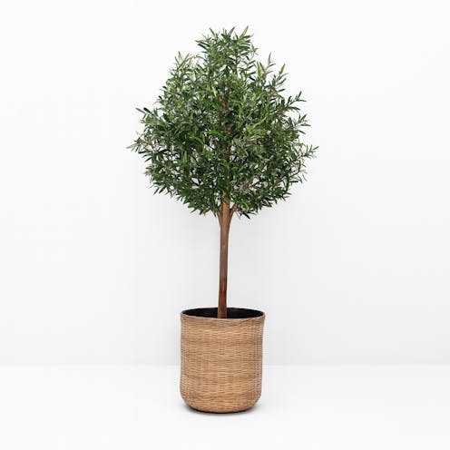 realistic artificial Olive Tree