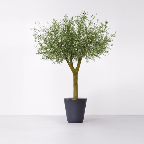 realistic artificial Grand Olive Tree