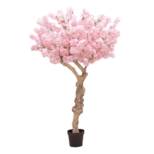 realistic Pink Cherry Blossom
