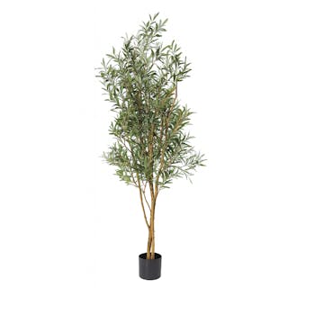 hyper realistic Olive Fruit Tree