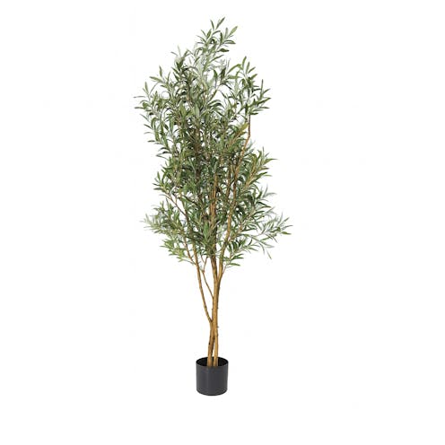 hyper realistic Olive Fruit Tree