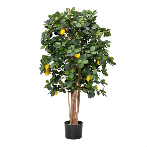 small artificial Lemon fruit Tree