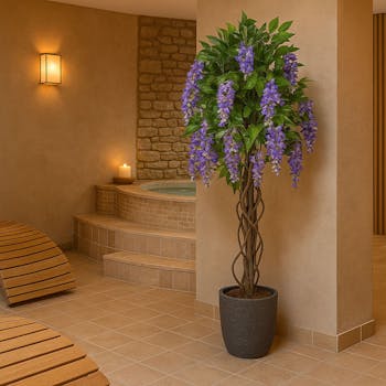 Wisteria Tree