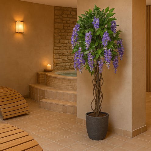 Wisteria Tree