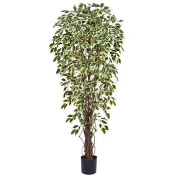 artificial Variegated Ficus Leaf