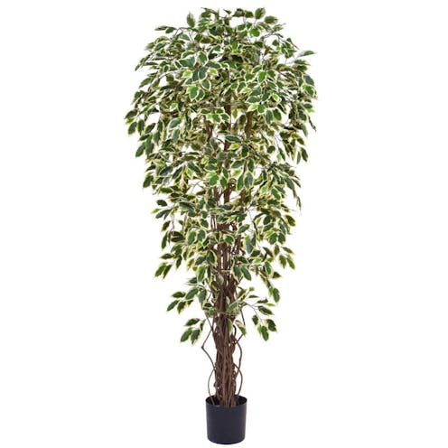 artificial Variegated Ficus Leaf