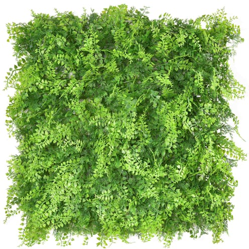 Conifer hedge Tile