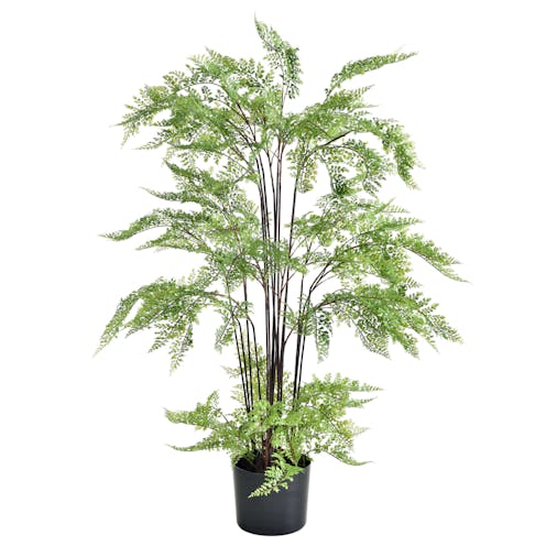 Artificial Fern Plant