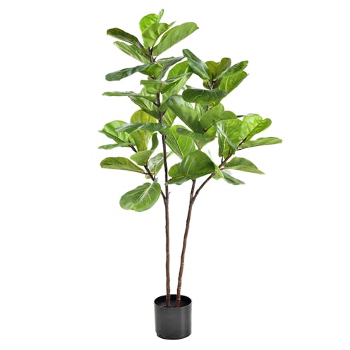 Artificial Ficus Plant