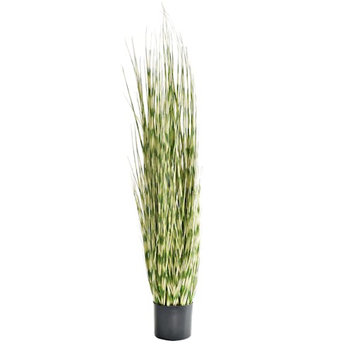 Artificial Grass Plant Zebra