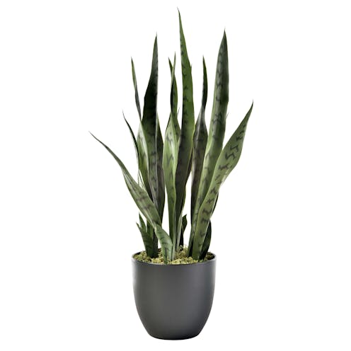 Artificial Green Snake Plant
