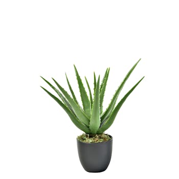 Artificial Aloe Vera Plant - 37cm