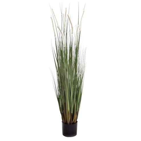Artificial Dogtail Grass - Fire Retardant