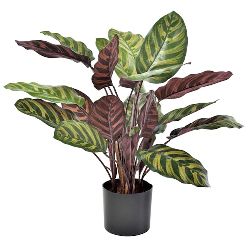 Artificial Calathea - Fire Retardant