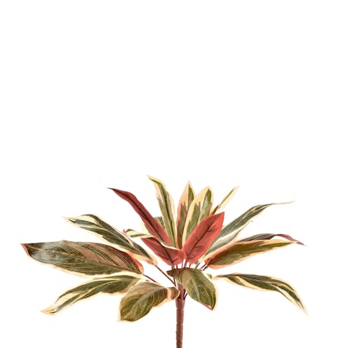 Artificial Caladium Stem - Fire Retardant