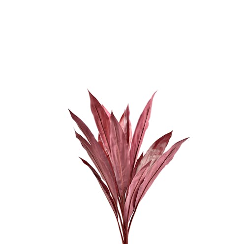 Artificial Red Leaf Fern - Fire Retardant
