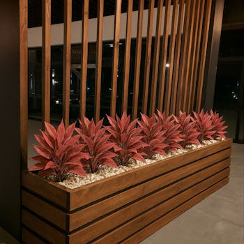 Red Leaf Fern