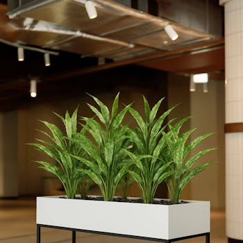 Tropic Artificial Stem