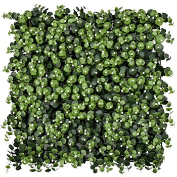White Eucalyptus Berry Green Wall Tile Front
