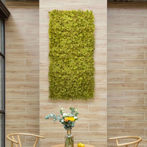 Olive Moss Green Wall Tile Room