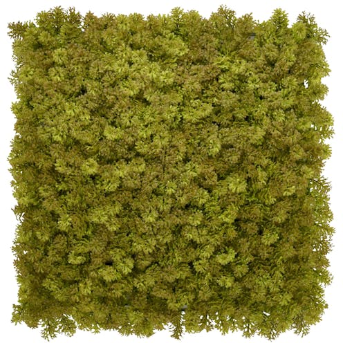 Olive Moss Green Wall Tile Front