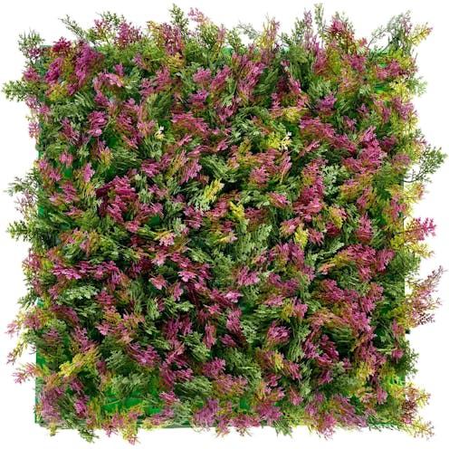 Blushing Cypress Green Wall Front