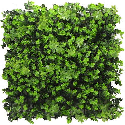 Ginseng Eucalyptus Green Wall Tile Front
