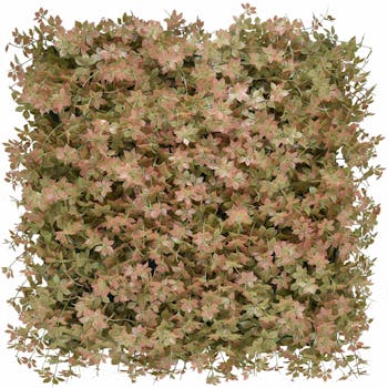 Ginseng Green Wall Tile