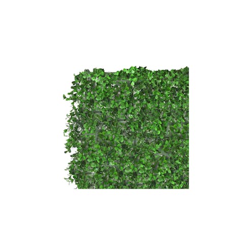 Boxwood Sample Hedge Tile