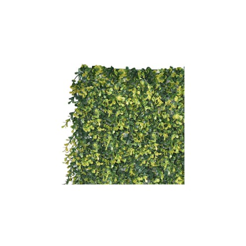 Boxwood Natural Sample Green Wall Tile
