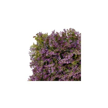purple fearn green wall sample