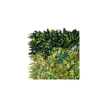 Safari green wall sample