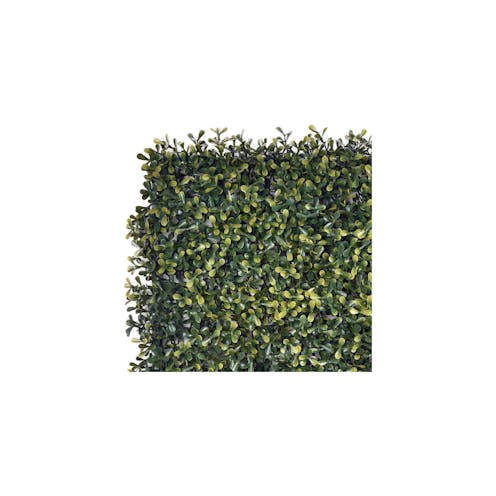 Topairy Sample Green Wall Tile