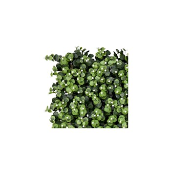 white eucalyptus berry sample tile