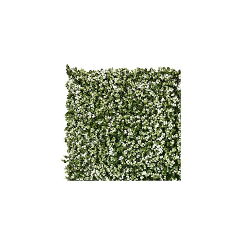 White Eucalyptus Sample Green Wall Tile