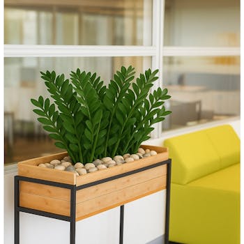 Zamio Zami Artificial Plant