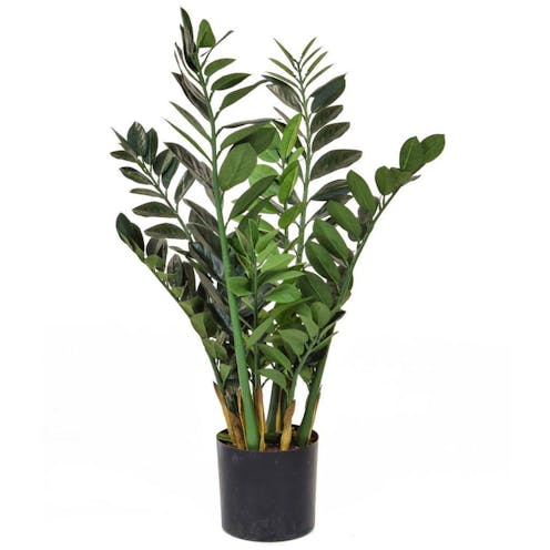 Zamio Zami Artificial Plant indoor office staple