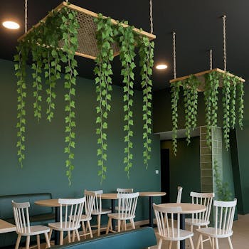 Variegated Ivy Garland Vine