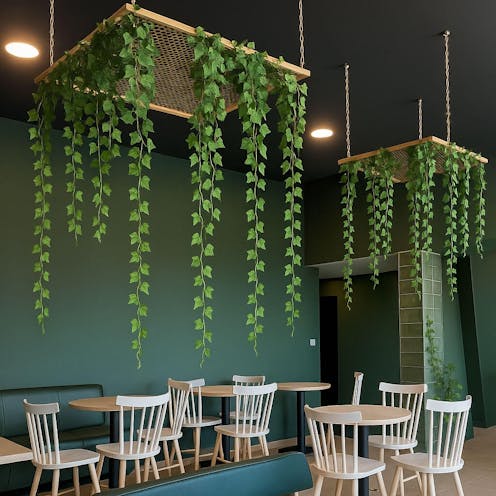 Variegated Ivy Garland Vine