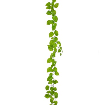 vibrant lime Pothos foliage garland