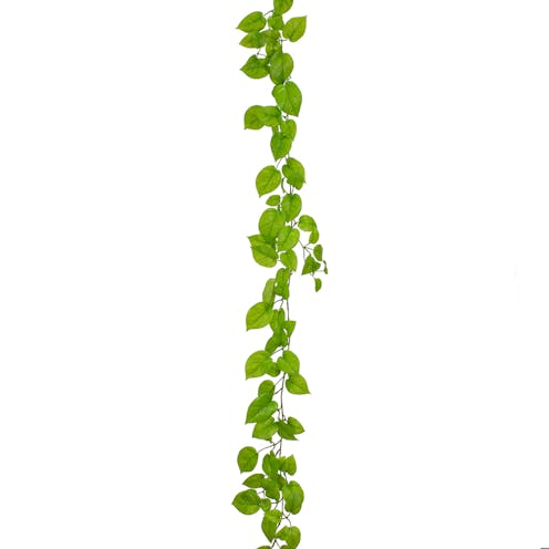 vibrant lime Pothos foliage garland