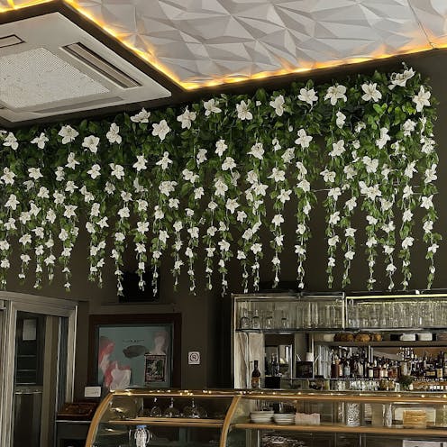 Bougainvillea Spray White