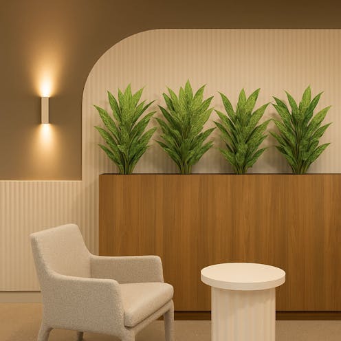 Aglaonema Bush Variegated