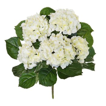Cream Hydrangea 45cm – Fire-Retardant Faux Floral Stem